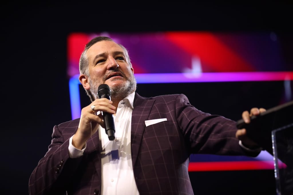 Cruz Critical of Broadband Subsidy Administrator After Audit