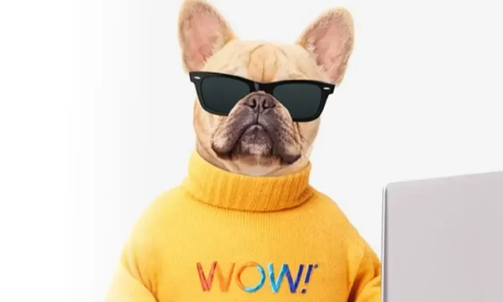 Does WOW! Buyout Have a DEI Problem at the FCC?