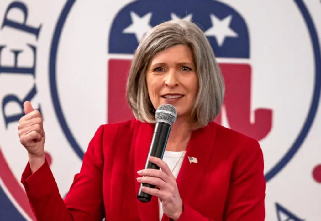 Broadband Spared as Ernst Urges $2 Trillion Cuts