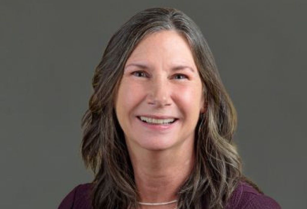 Fiber Seen as Critical Infrastructure for AI-Driven Data Center Expansion