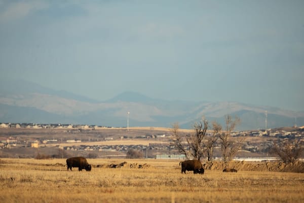 Colorado Hoping to Up Participation in BEAD Round Two