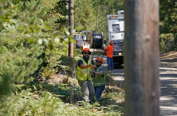 Rural States Struggling with Affordable Broadband Access: BroadbandNow