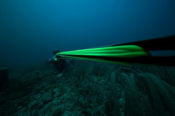 Industry Opposed to New Licensing for Subsea Cable Terminals
